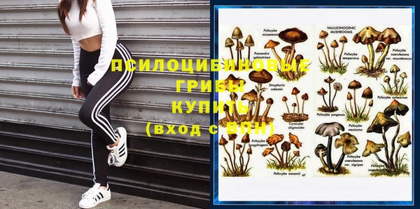 ешки Абинск