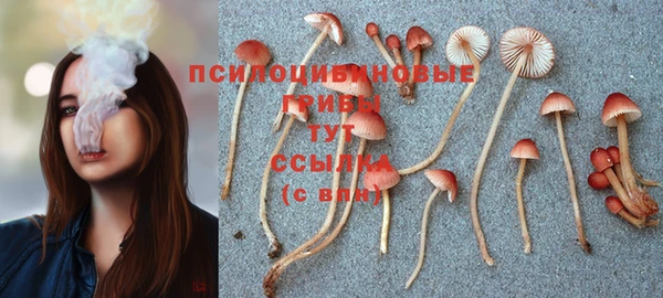 ПСИЛОЦИБИНОВЫЕ ГРИБЫ Абдулино