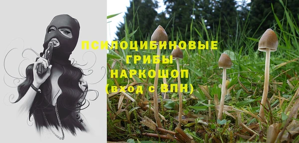 ешки Абинск