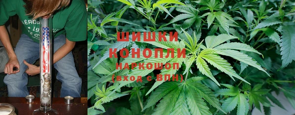 гидропоника Абаза