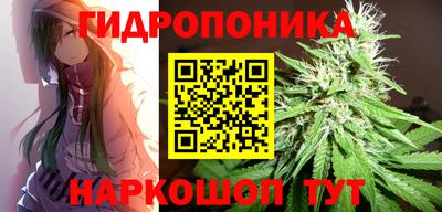 шишки Наро-Фоминск