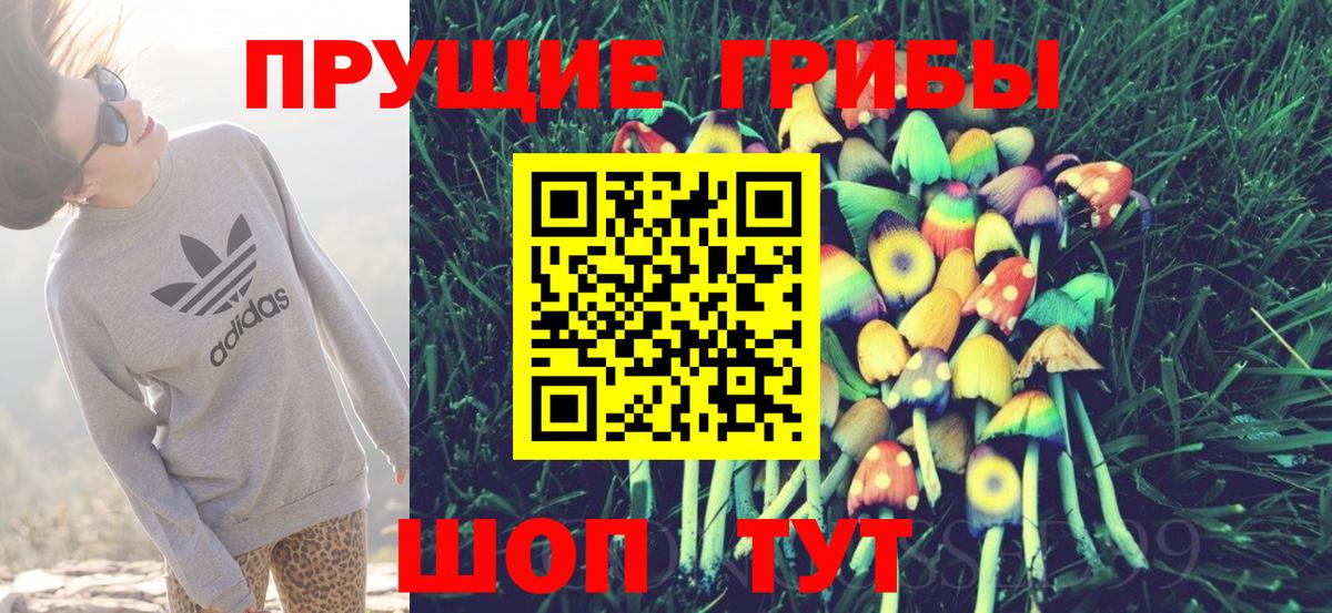 Псилоцибиновые грибы ЛСД Подольск